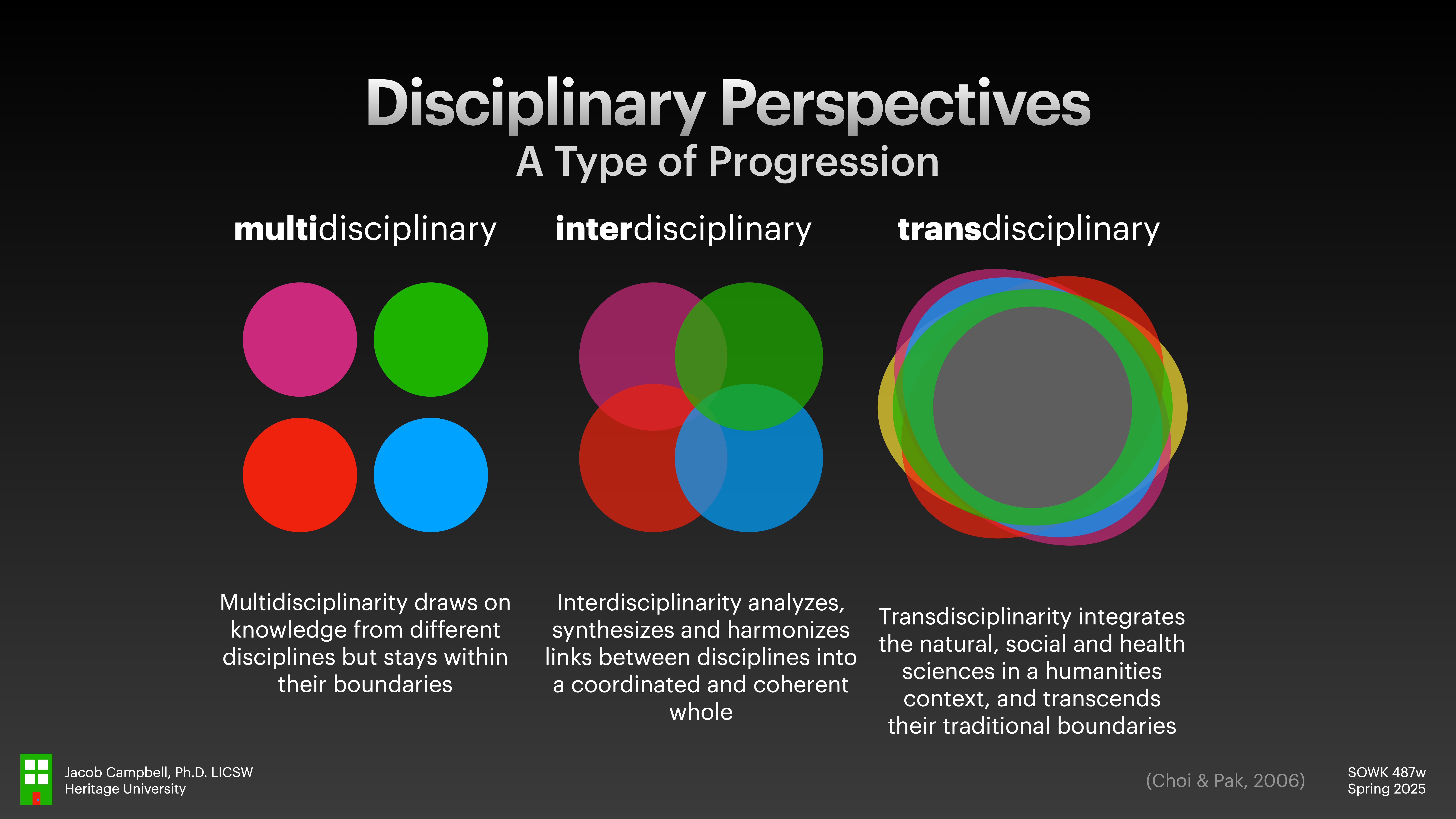 The image presents three overlapping colored circles under 'Disciplinary Perspectives: A Type of Progression.' It describes multidisciplinary, interdisciplinary, and transdisciplinary approaches, detailing their differences in boundary interaction and integration levels.