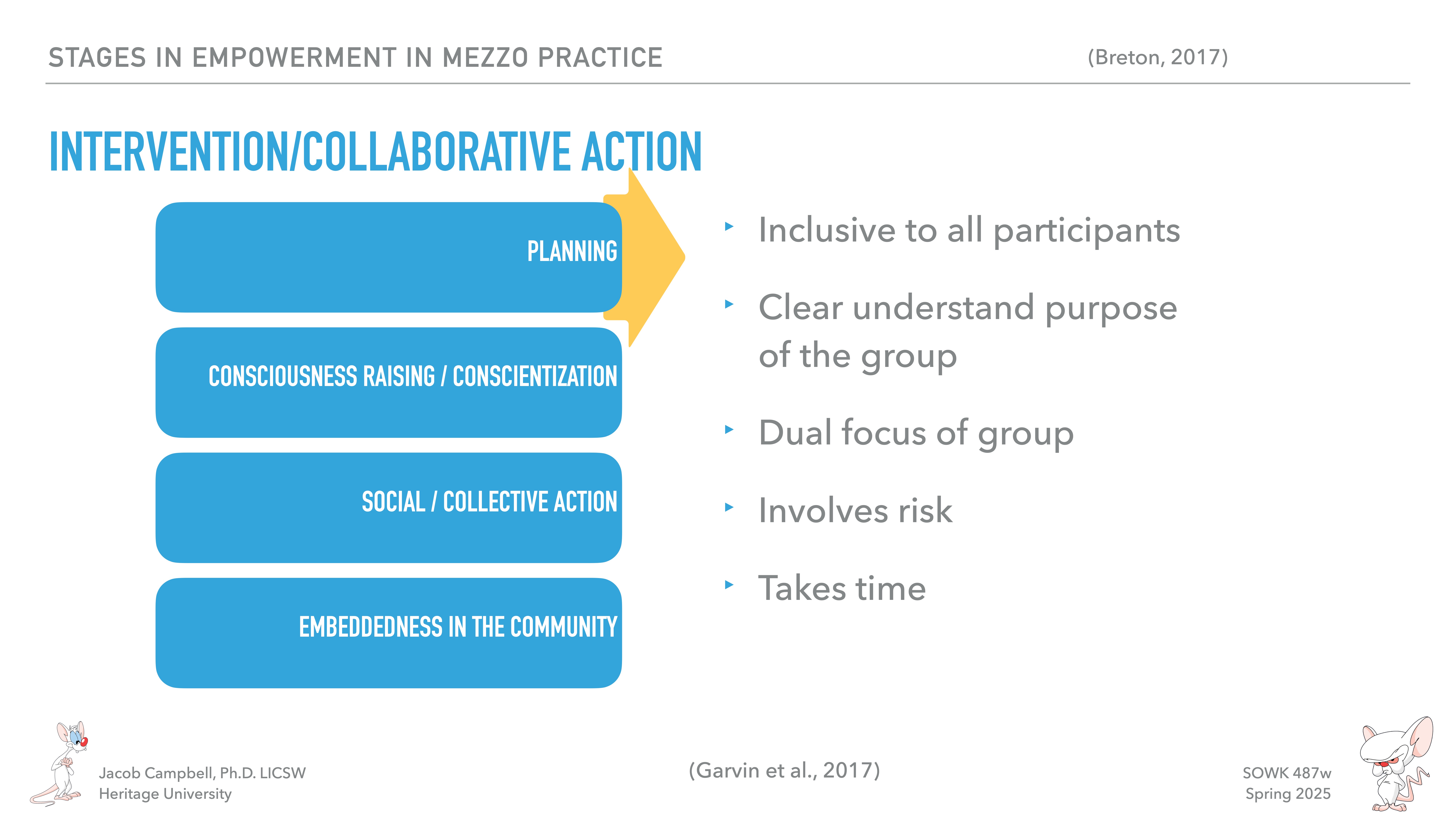Flowchart titled 'Intervention/Collaborative Action' with four stages: Planning, Consciousness Raising/Conscientization, Social/Collective Action, Embeddness in the Community. Key points include inclusivity, clear purpose, dual focus, risk, and time.