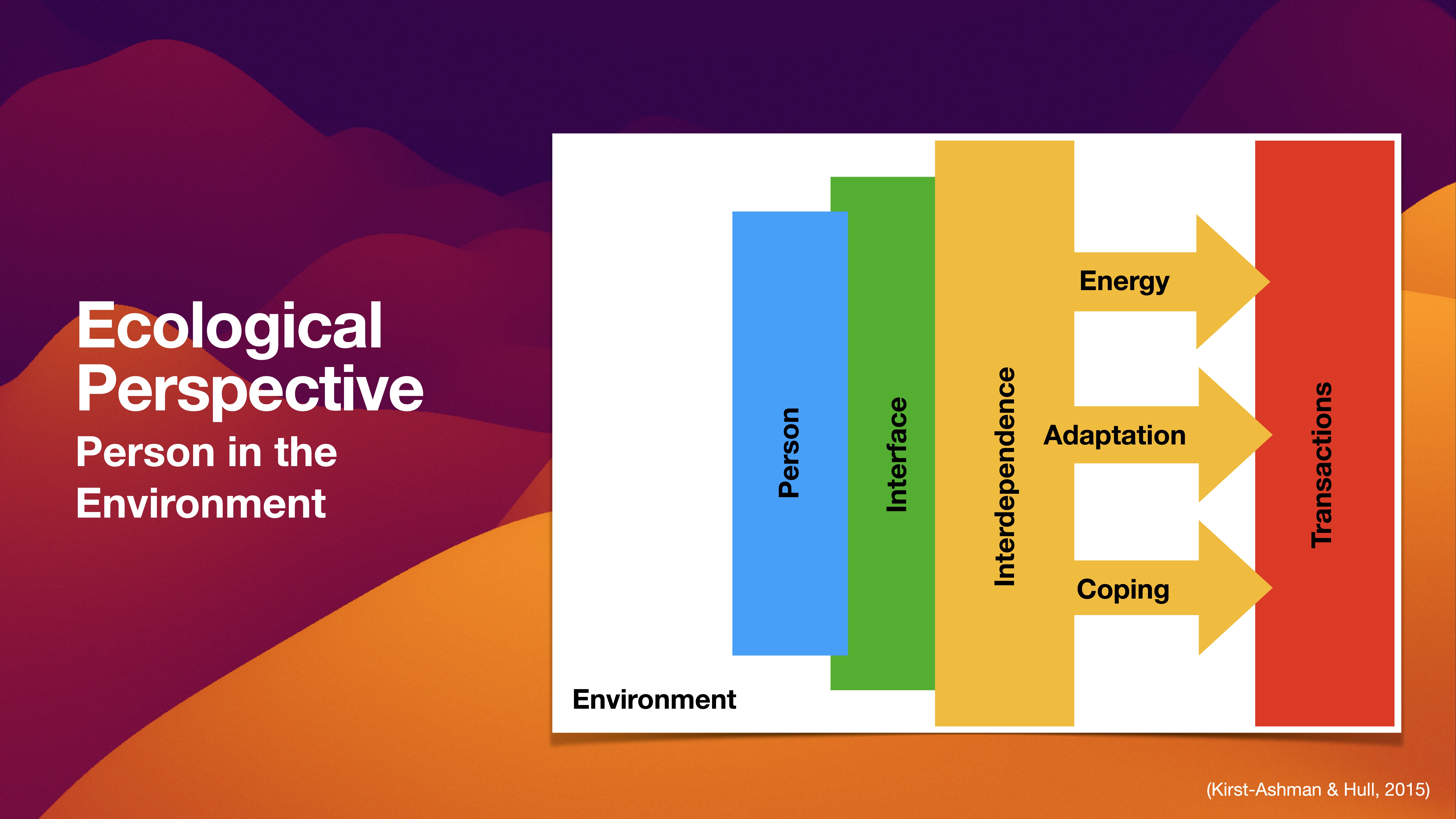 Diagram illustrating the 'Ecological Perspective' with vertical colored bars labeled 'Person' and 'Interface,' arrows for 'Energy,' 'Adaptation,' 'Coping,' 'Transactions,' surrounded by gradient background. Text: 'Person in the Environment.' (Kirst-Ashman & Hull, 2015).