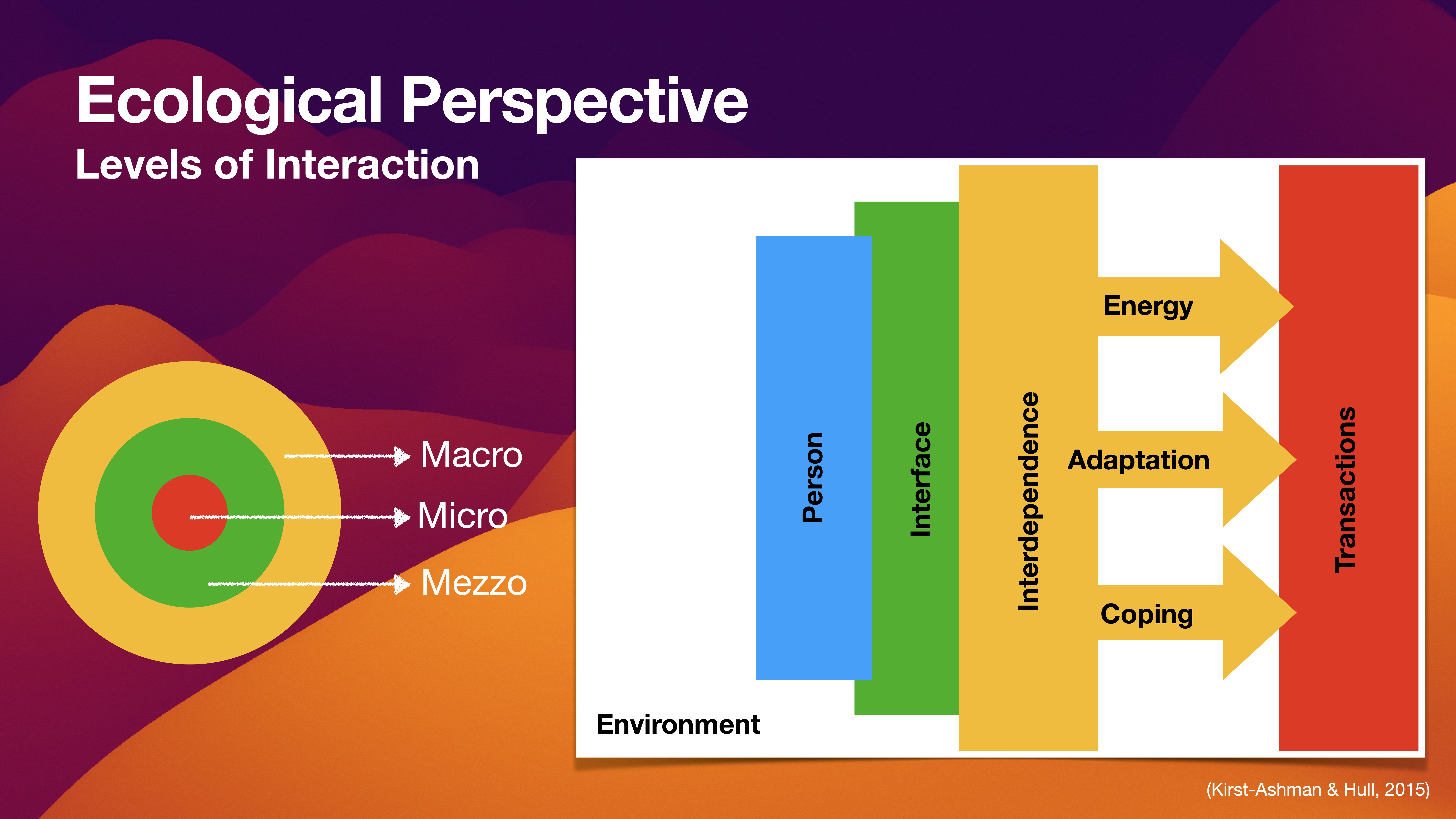 A presentation slide features a concentric circles diagram labeled 'Macro,' 'Micro,' and 'Mezzo' and outlines 'Ecological Perspective' and 'Levels of Interaction.' A flowchart depicts interactions, labeled 'Person,' 'Interface,' 'Interdependence,' and 'Environment,' with arrows pointing to 'Energy,' 'Adaptation,' 'Coping,' and 'Transactions.' The slide is visually colorful with a red to orange gradient background.