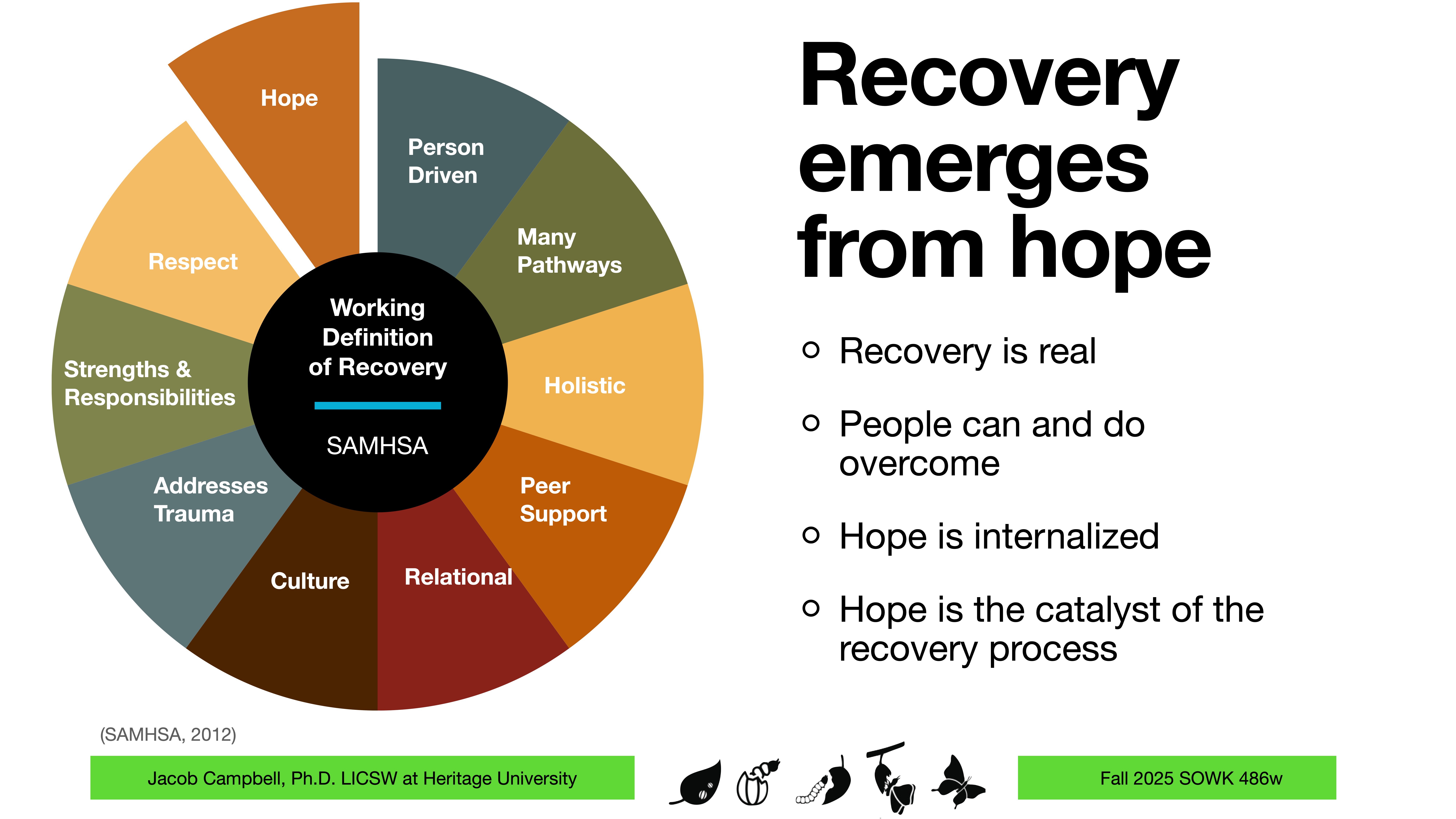 A circular diagram highlights components of recovery, including 'Hope,' 'Person Driven,' 'Holistic,' and others. Text emphasizes 'Recovery emerges from hope,' noting its reality, potential, and internalization. Context is educational.