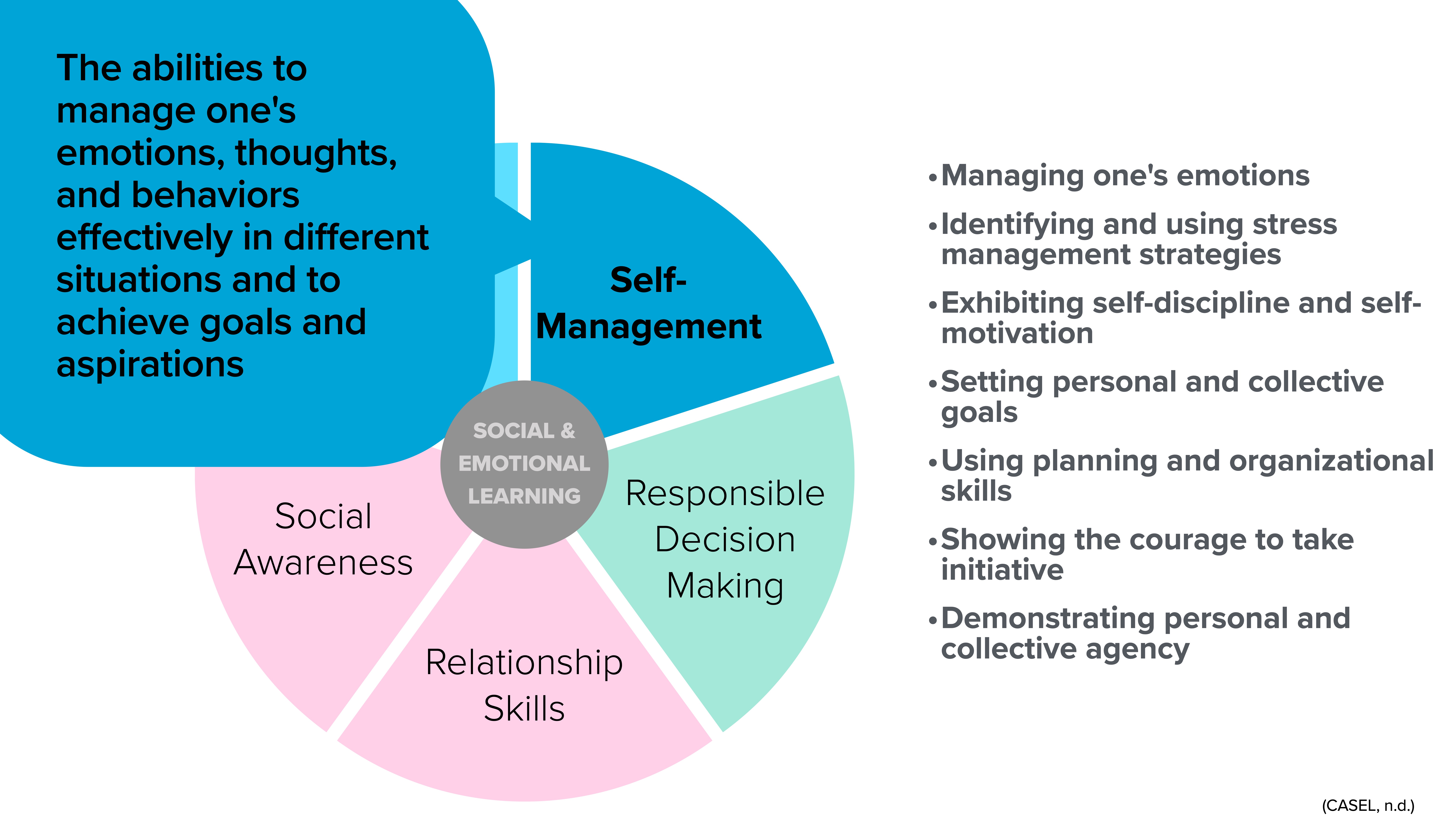 A colorful pie chart illustrating areas of social and emotional learning with sections labeled: Self-Management, Social Awareness, Relationship Skills, and Responsible Decision Making. Text explains managing behaviors for goals.