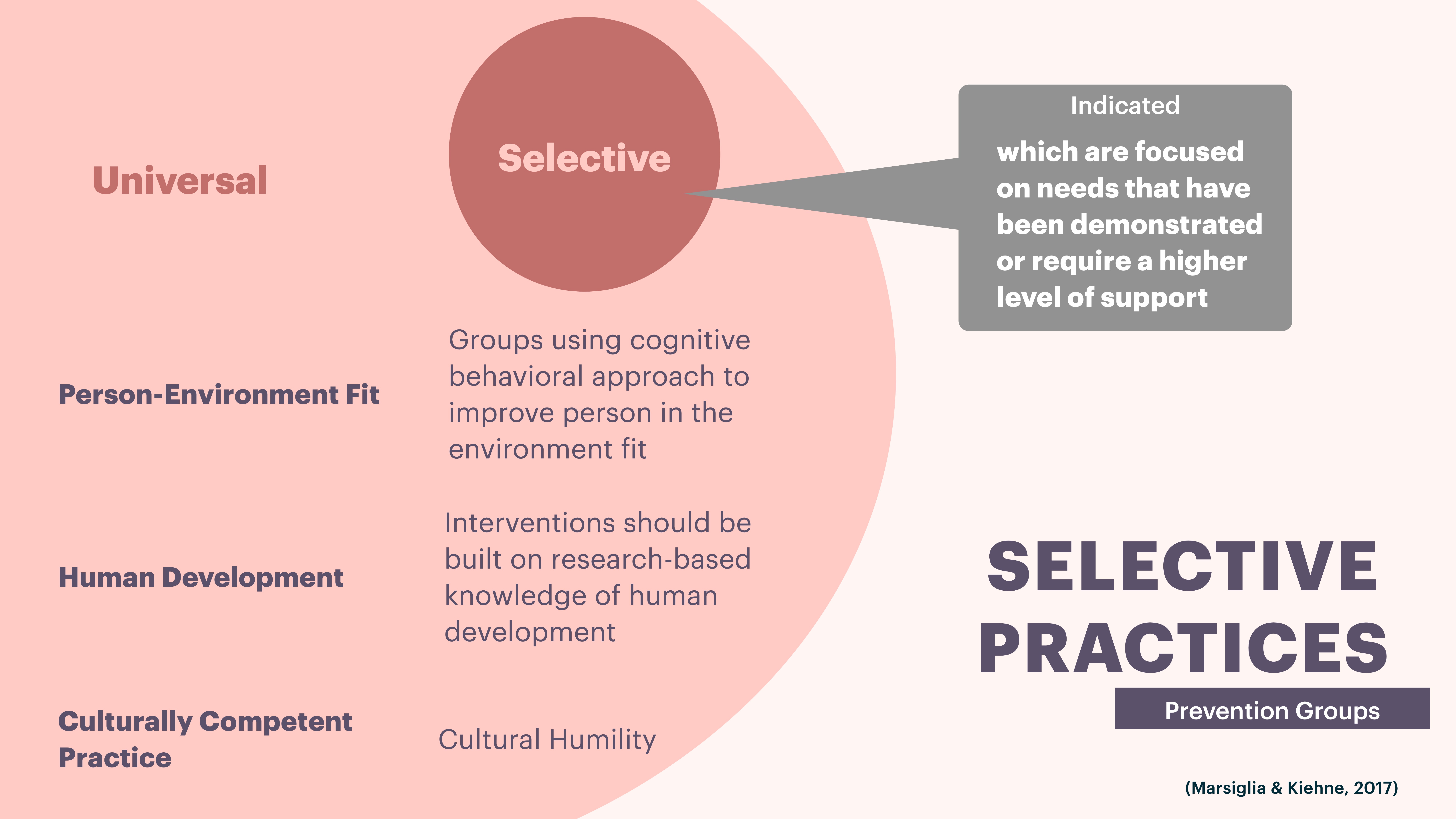 Diagram illustrates 'Selective Practices' in prevention groups, highlighting selective interventions. Includes sections on 'Person-Environment Fit,' 'Human Development,' and 'Culturally Competent Practice.' Focus: needs requiring higher support. Source: Marsiglia & Kiehne, 2017.