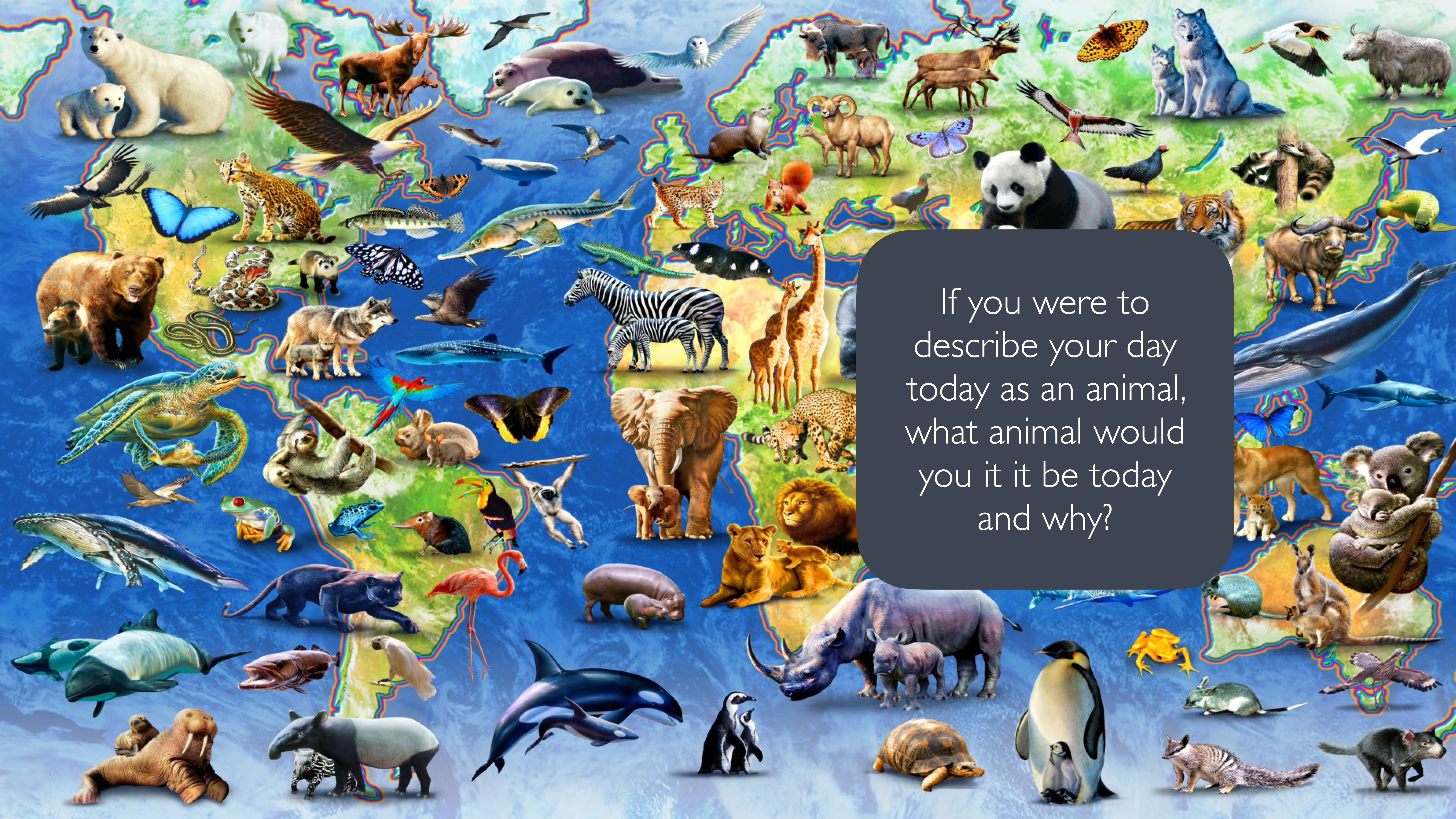 A colorful world map displays various animals positioned on continents. A text box reads, “If you were to describe your day today as an animal, what animal would you it be today and why?”