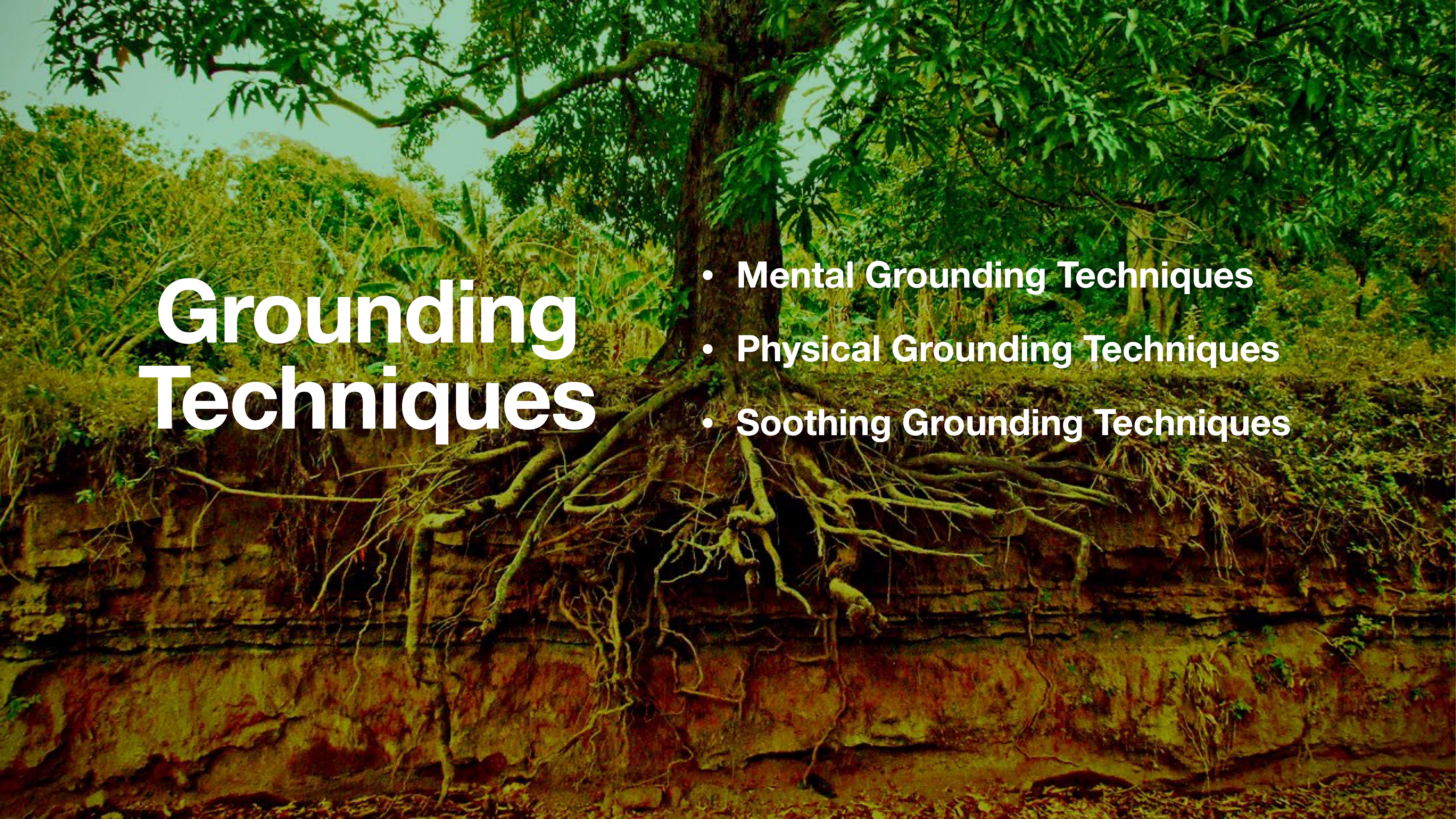 Tree roots spread over an exposed earthy cliff, emphasizing stability. Text overlay: 'Grounding Techniques; Mental Grounding Techniques; Physical Grounding Techniques; Soothing Grounding Techniques' suggests strategies related to grounding.