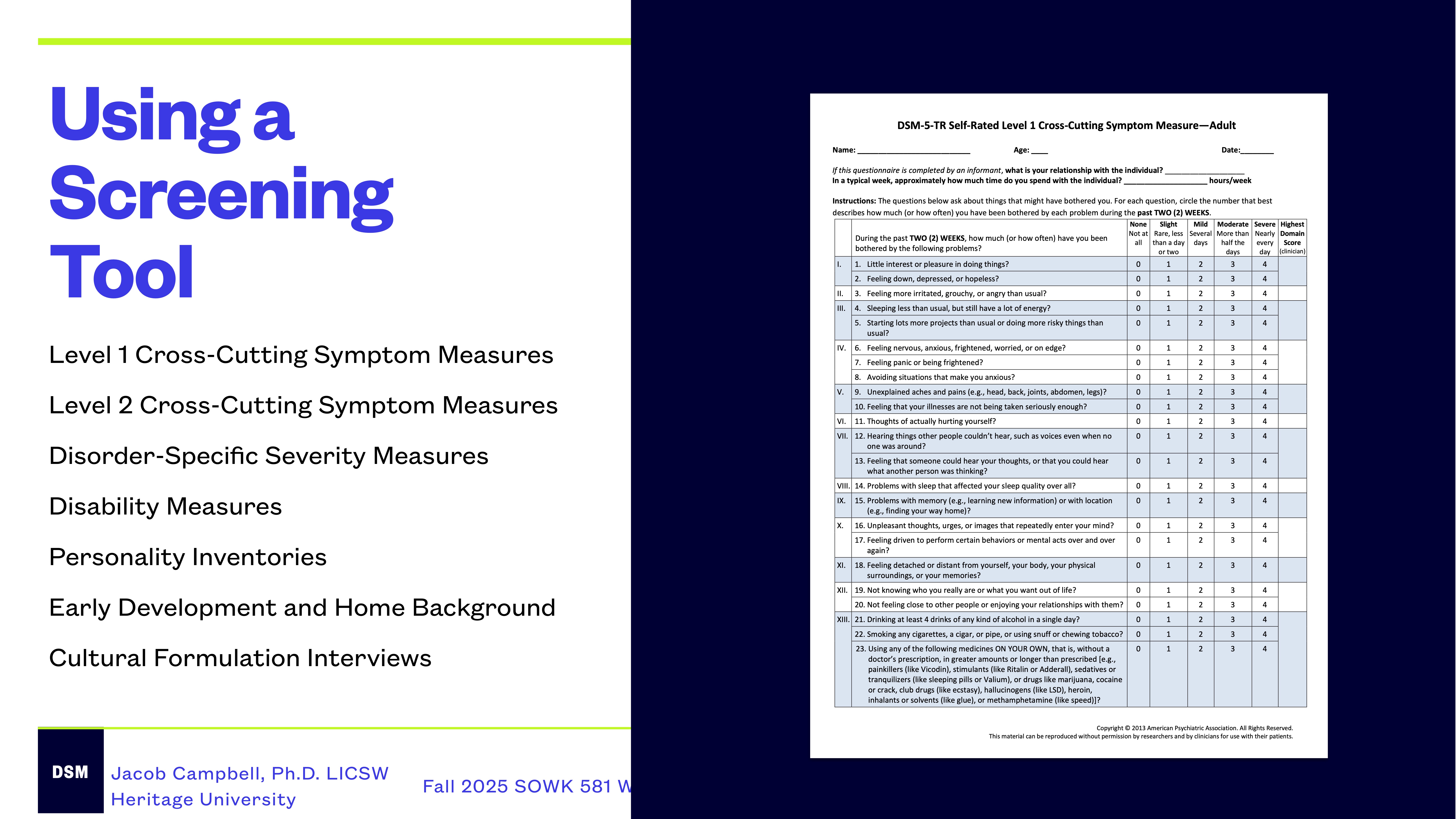 A presentation slide features text and a chart. The text states 'Using a Screening Tool' and lists various mental health measures. The chart is titled 'DSM-5 Cross-Cutting Symptom Measure – Adult.'