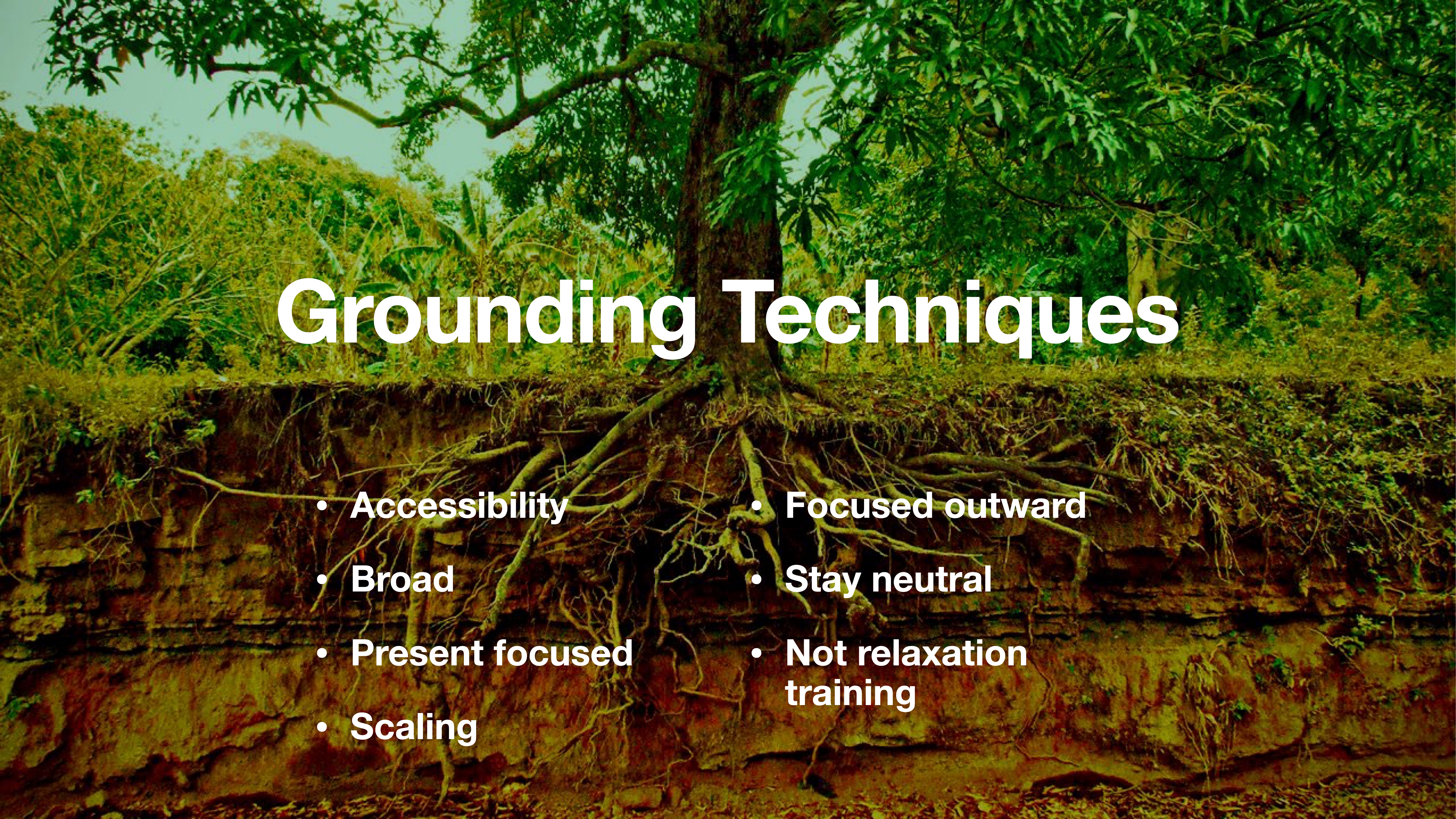 Tree roots spread across exposed soil, emphasizing grounding techniques. Text highlights: 'Accessibility, Broad, Present focused, Scaling, Focused outward, Stay neutral, Not relaxation training.' Lush greenery surrounds the scene.