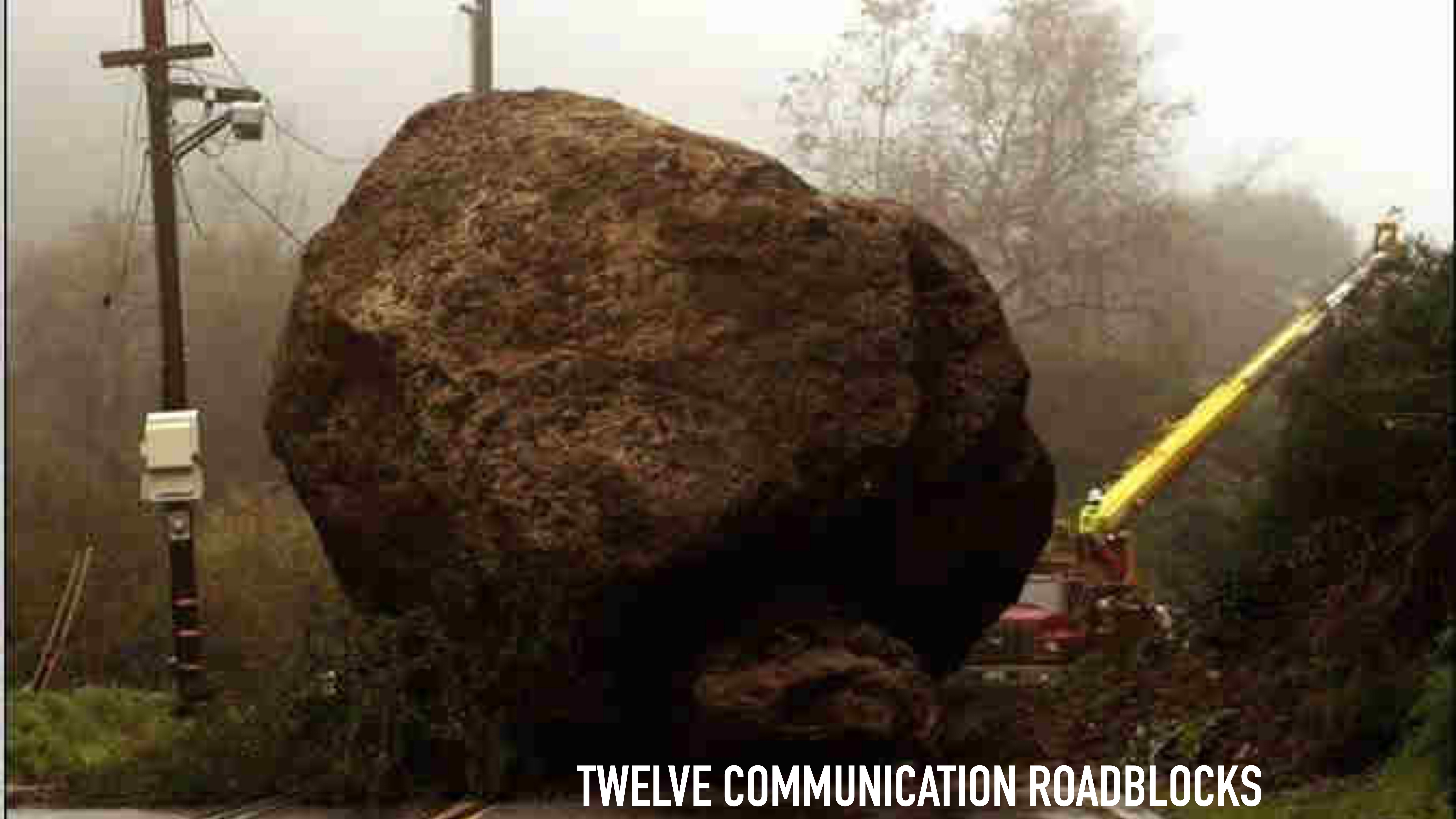 A large boulder obstructs a road, with a crane positioned nearby. Trees and power lines are visible under overcast skies. Text reads: 'TWELVE COMMUNICATION ROADBLOCKS.'